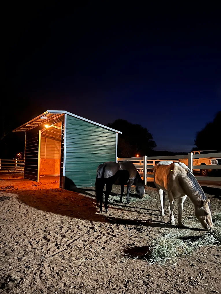 Metal animal shelter for livestock and agricultural use